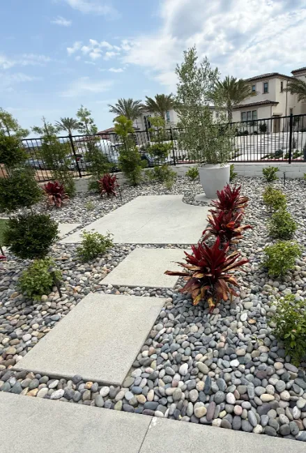 Portfolio Image